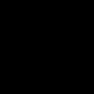 Meet your Posher, Tyrone